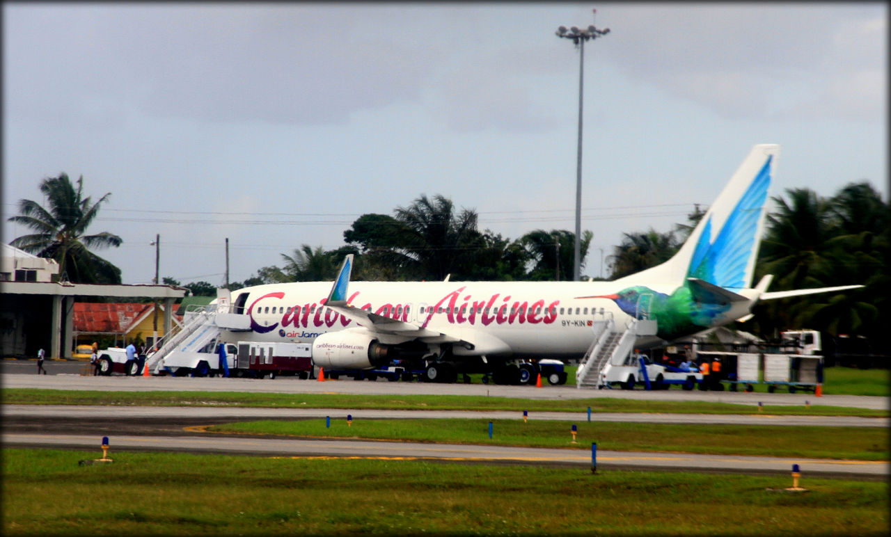 Крылья наших мечтаний