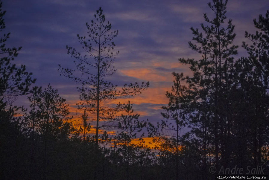 На рассвете в Национальном парке Кемери. Кемери, Латвия