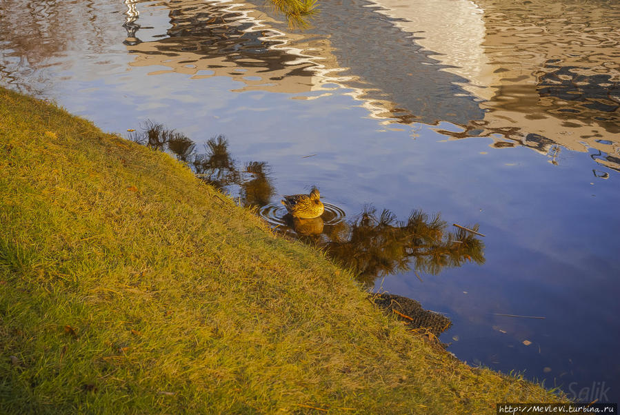В ноябре в парке Кронвальда Рига, Латвия