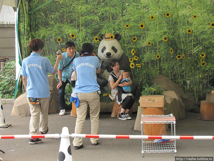 Зоопарк Уэно. Продолжение Токио, Япония