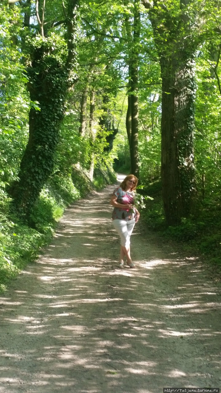 Весенняя прогулка в окресностях Nuth, ручей Aalbeek Нут, Нидерланды