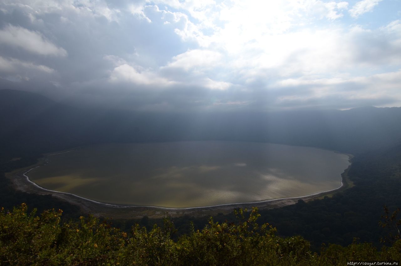 Когда проезжали в машине с открытым верхом, слева неожиданно увидели озеро. Оказалось, что это кратер Эмпакаи, 6 на 8 километров в размере, такой же древний, как и Нгоронгоро. Гид предложил в него спуститься. Нгоронгоро (заповедник в кратере вулкана), Танзания