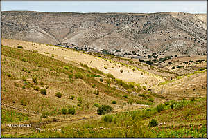 Невысокие, но все же горы...
*