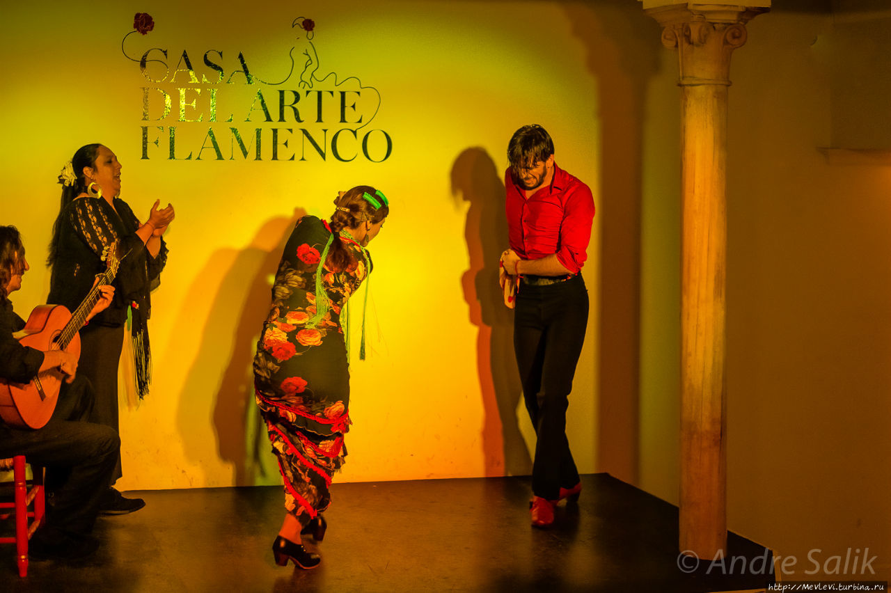 Casa del Arte Flamenco Гранада, Испания