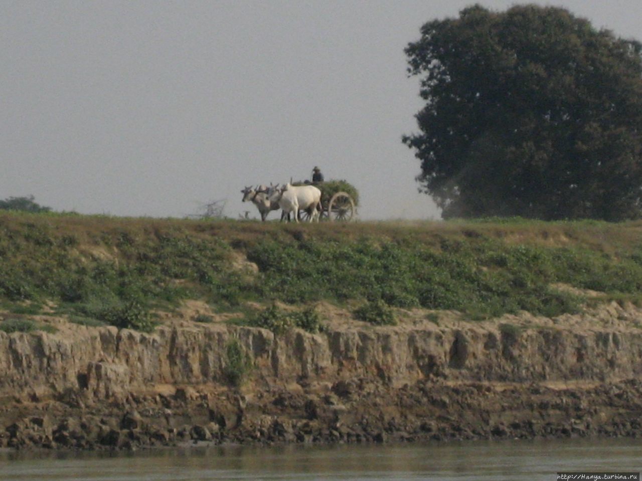 Река Иравади (Ayeyawady)