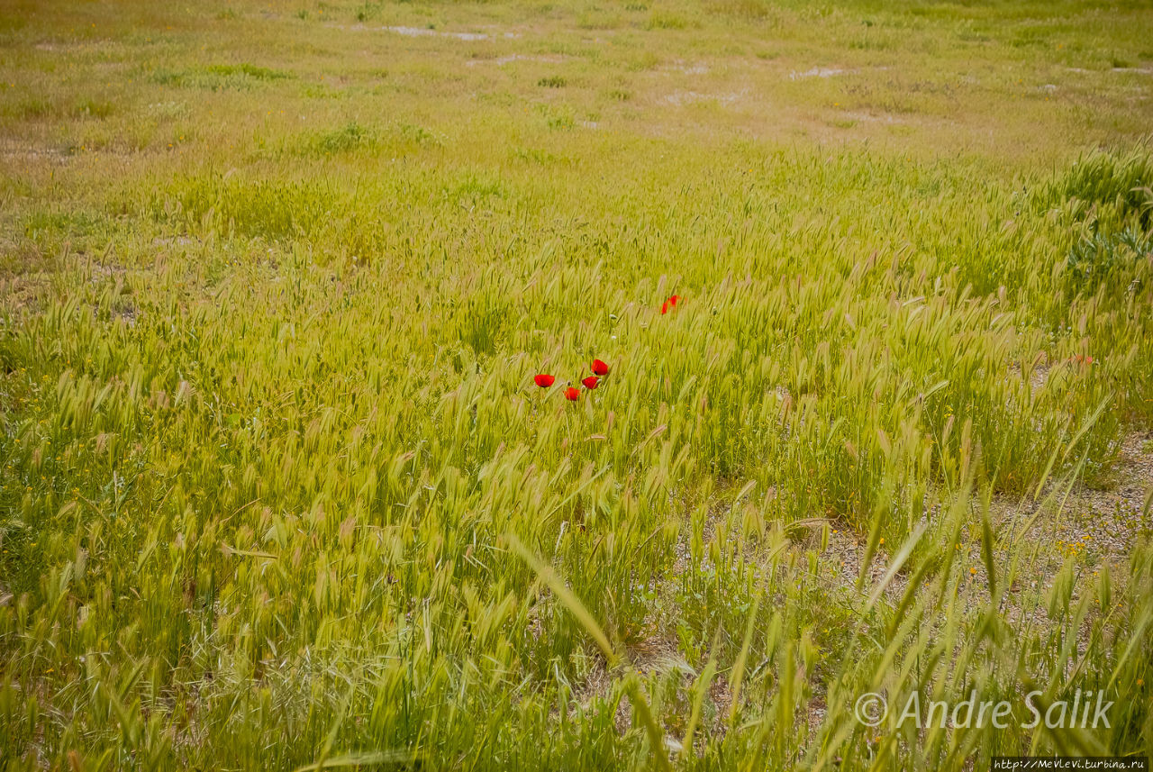 Райское местечко Керманшах, Иран