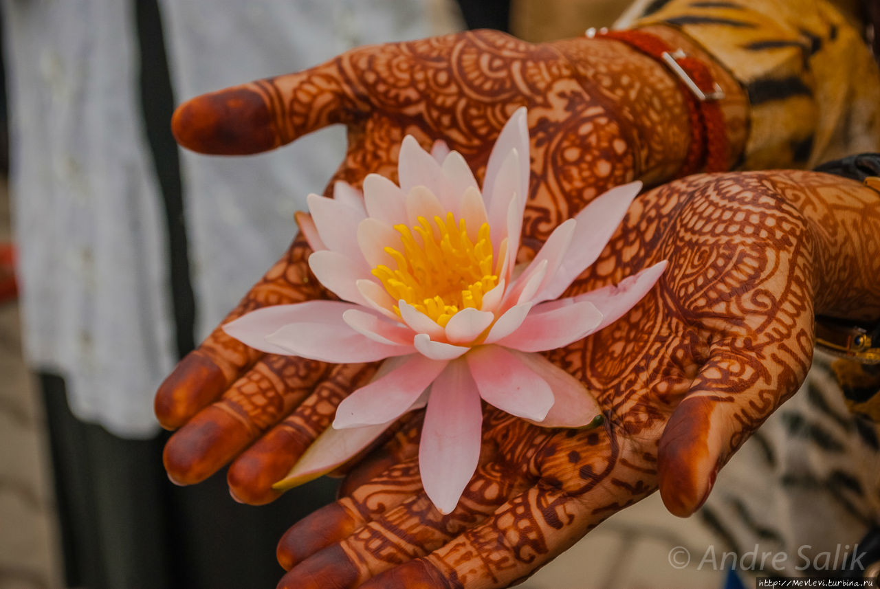 Озеро Дал. Портреты