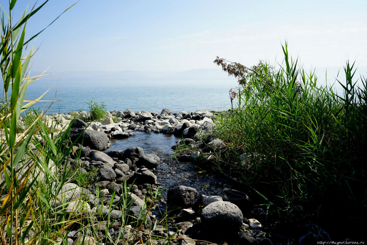 Об  Израиле с любовью. Берег  Галилейского  моря... Галилейское море озеро, Израиль