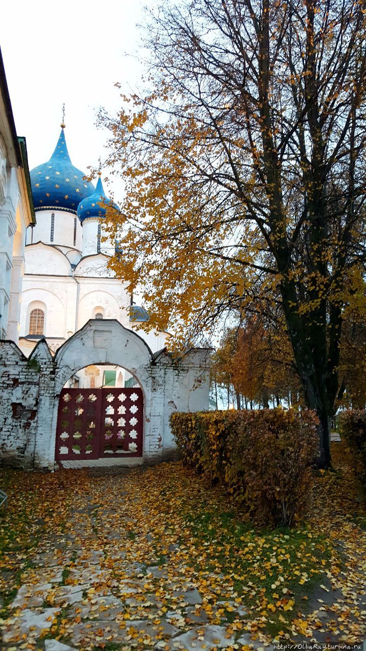 Вот есть в облике наших п