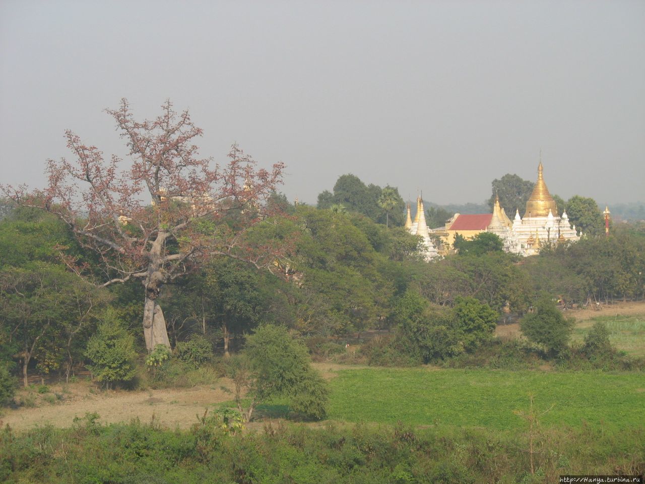 Виды на руины города Авы