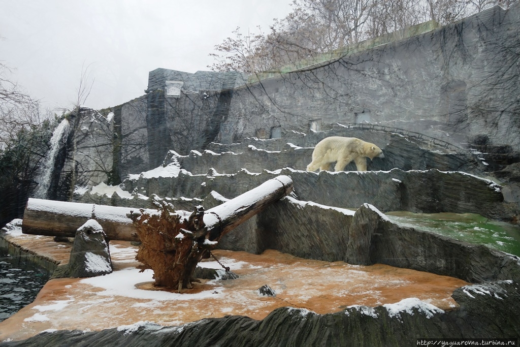 Пражский зоопарк Прага, Чехия