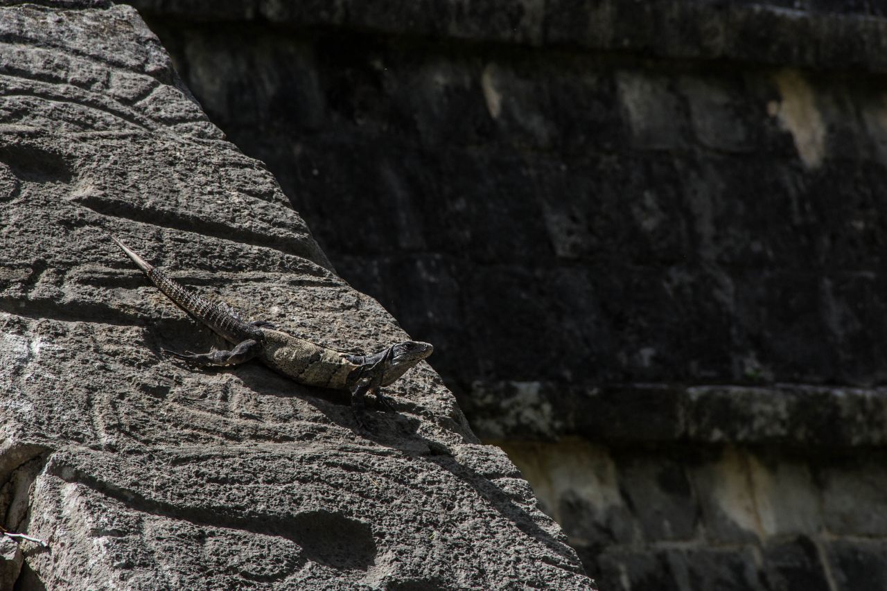 Чичен-Ица. Кукулькан и Юм-Чак Чичен-Ица город майя, Мексика