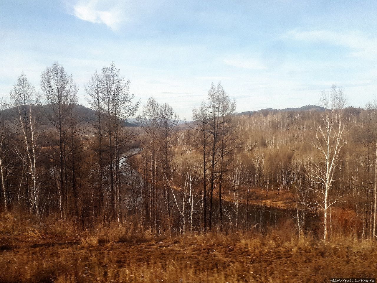 Река Белый Урюм сопровождает поезд между станциями Ксеньевская и Зилово Россия