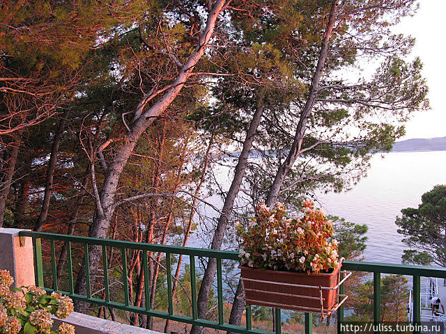 Вид с террассы на море Брела, Хорватия