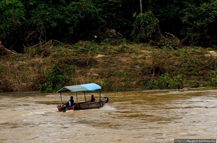 Скорость  реки  просто  бешеная. Лодка  еле  справляется  с  управлением. Куала-Лумпур, Малайзия