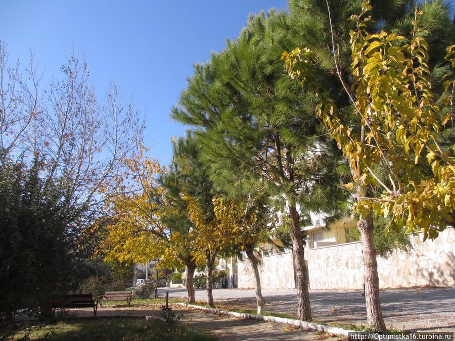 Здравствуй, Дидим! Дидим, Турция