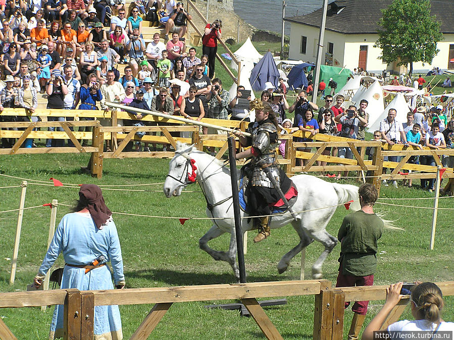 Рыцарский турнир на фестивале 