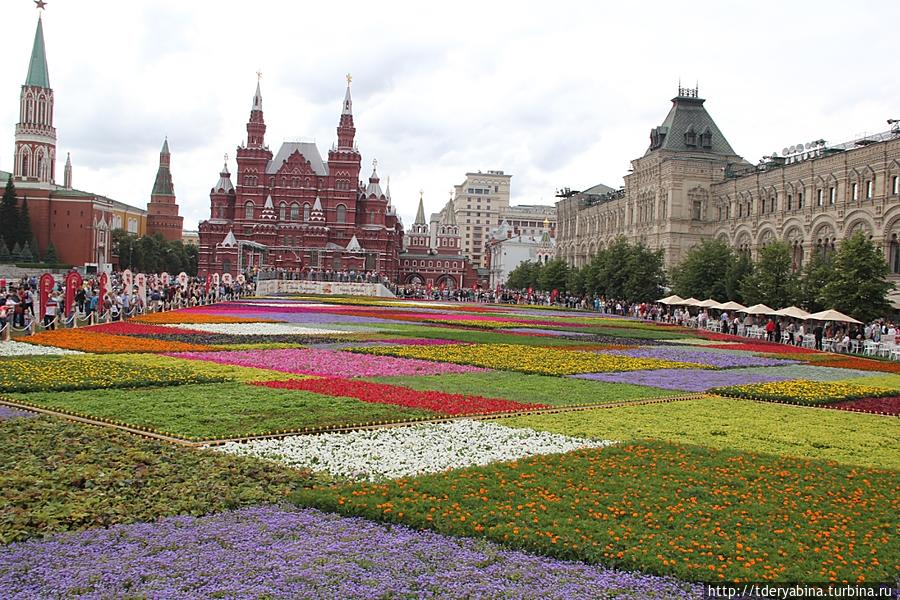 Благоухающий ковер Красной площади Москва, Россия