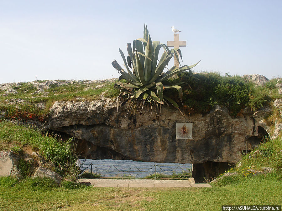 Сцены из фильма 