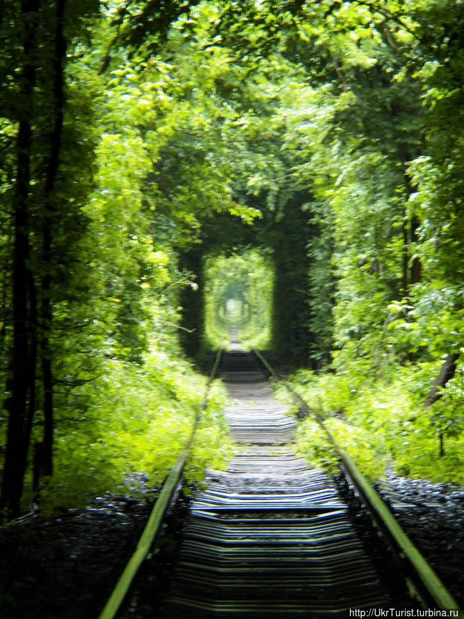 Тоннель любви — удивительное место... Клевань, Украина