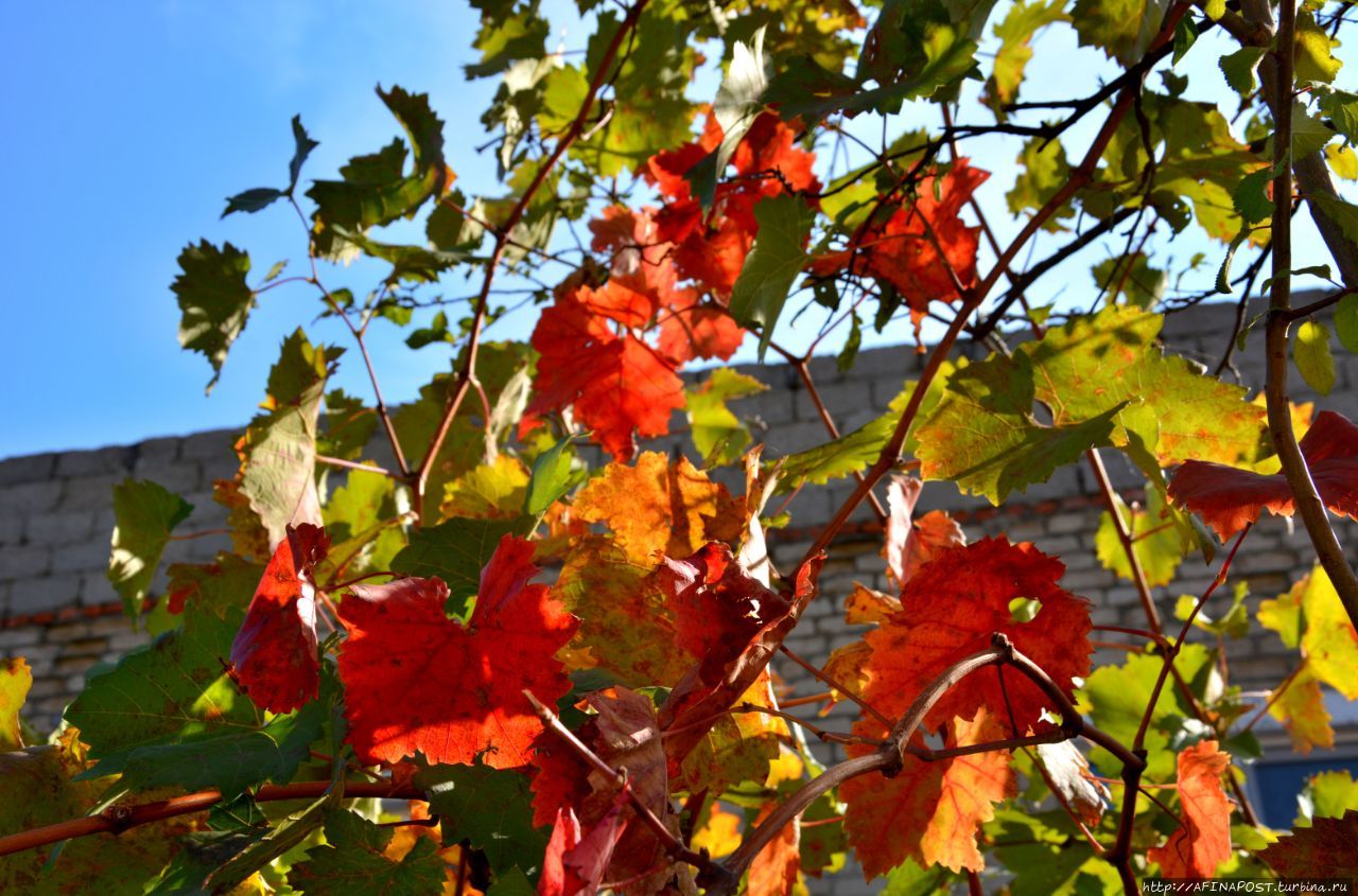 Сулакский каньон Сулакский каньон, Россия