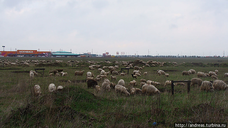 На окраине Брашова